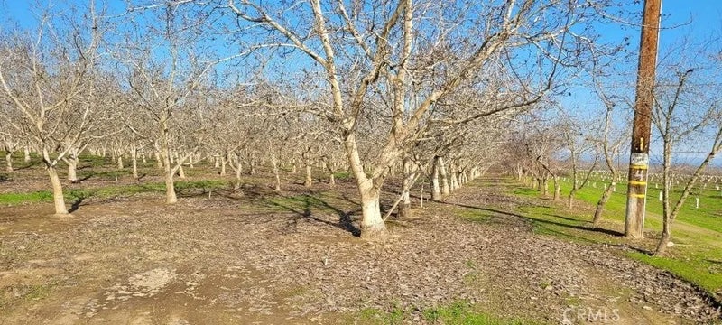 0 River Road