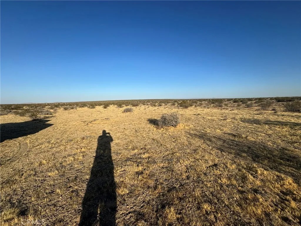 0 Vacant Land