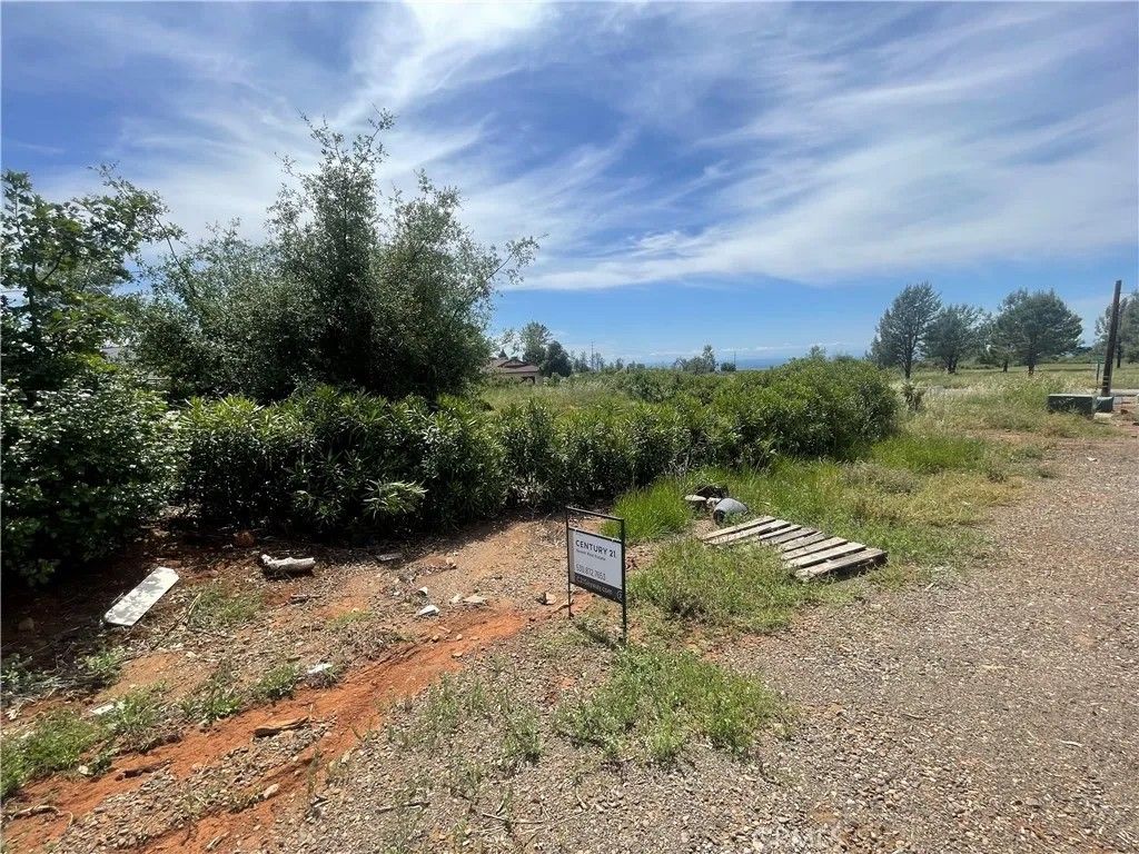 Photo of 4624 Skyway, Paradise, CA 95969 (MLS # SN26089423)