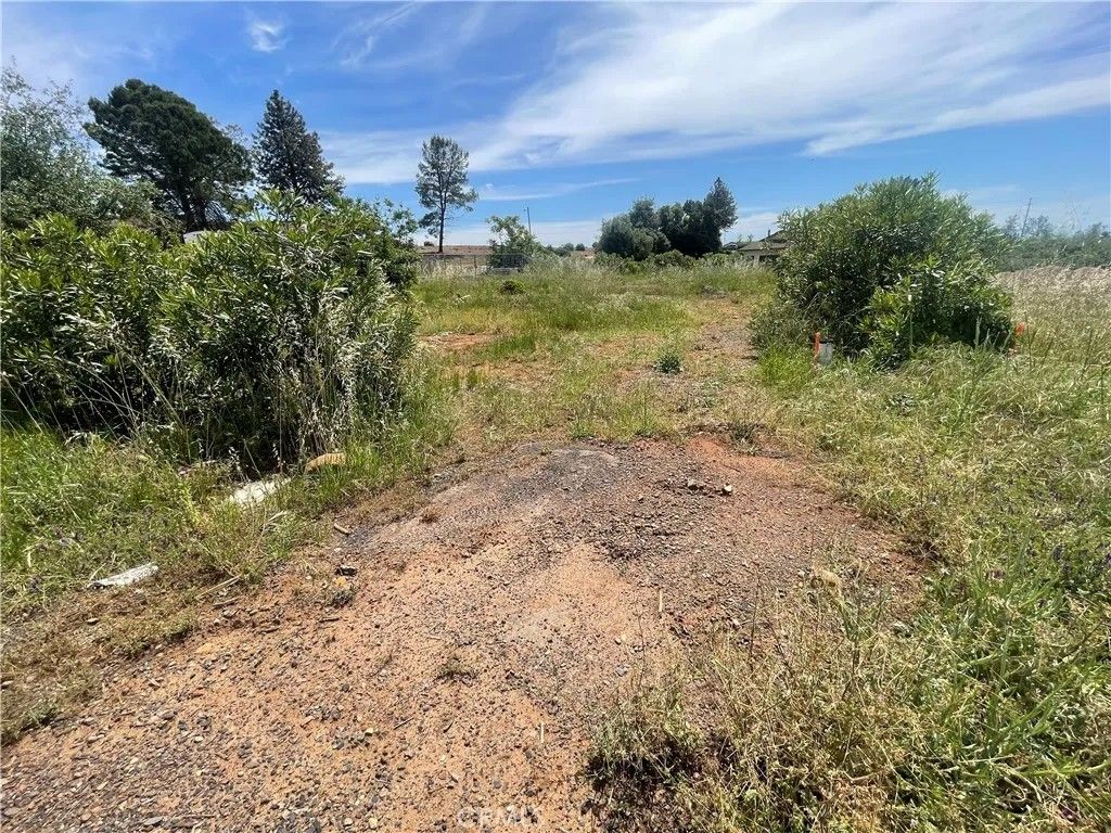 Photo of 4624 Skyway, Paradise, CA 95969 (MLS # SN26089423)