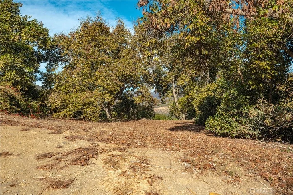 48 Pauma Ridge
