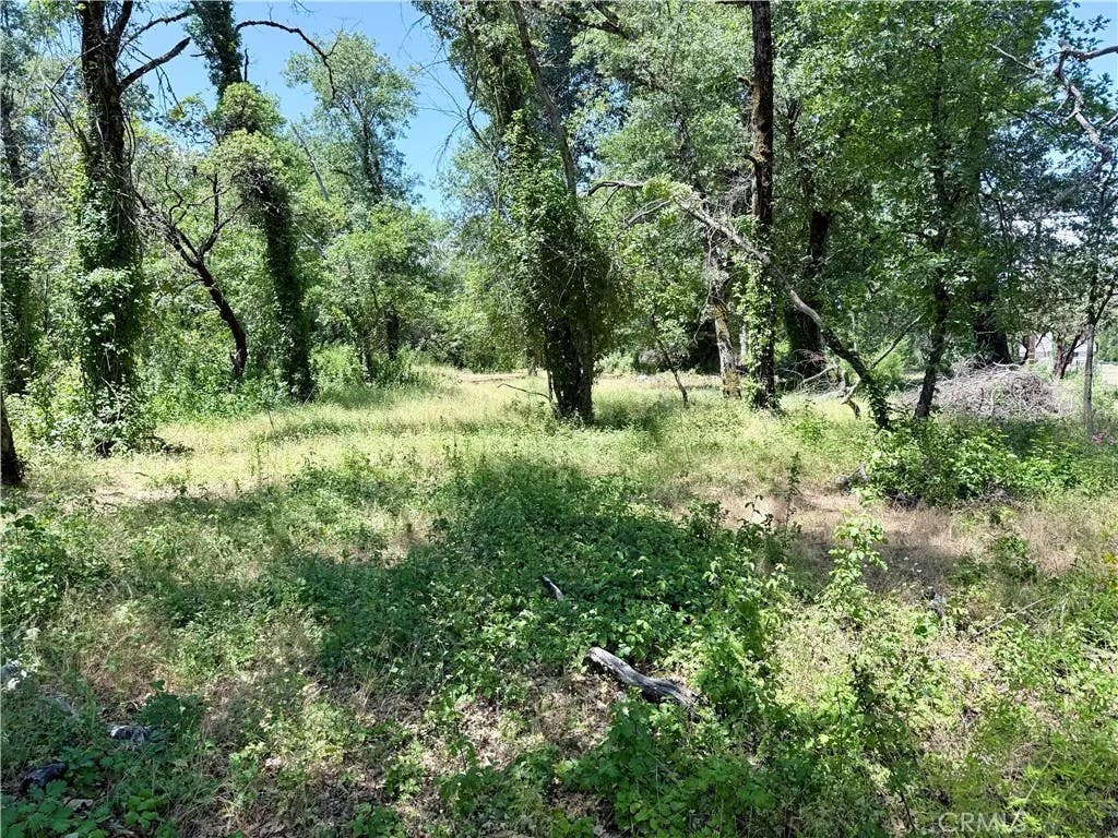 Photo of 1343 Shady LN, Lakeport, CA 95453 (MLS # LC26117027)