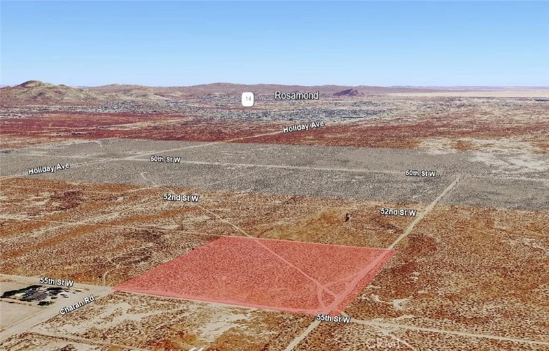 0 Willow