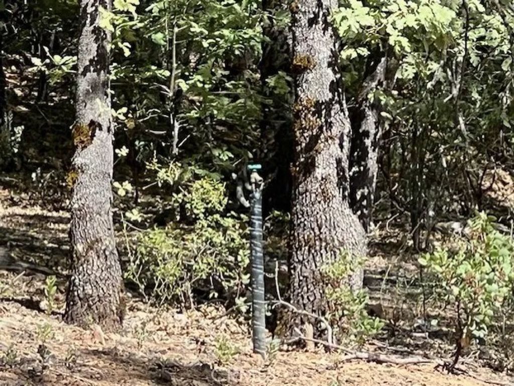 Photo of 9208 Diamond Dust Trl, Kelseyville, CA 95451 (MLS # LC26080626)