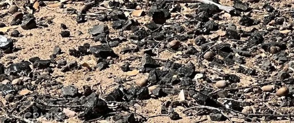 Photo of 9208 Diamond Dust Trl, Kelseyville, CA 95451 (MLS # LC26080626)