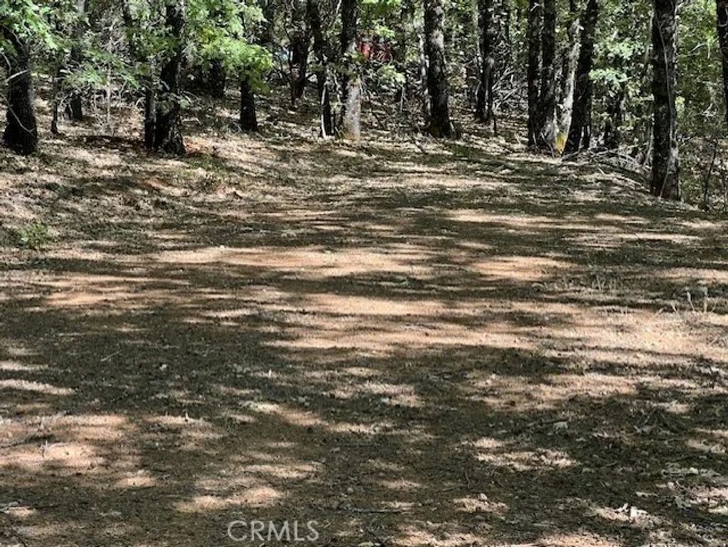 Photo of 9208 Diamond Dust Trl, Kelseyville, CA 95451 (MLS # LC26080626)