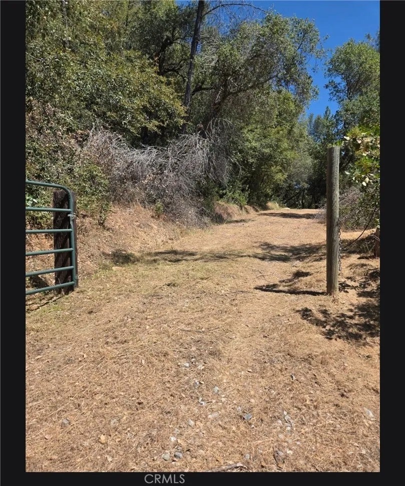Photo of 1371 Moccasin Trl, Placerville, CA 95667 (MLS # SW26052342)