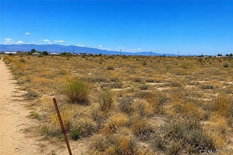5 Mojave Tropical