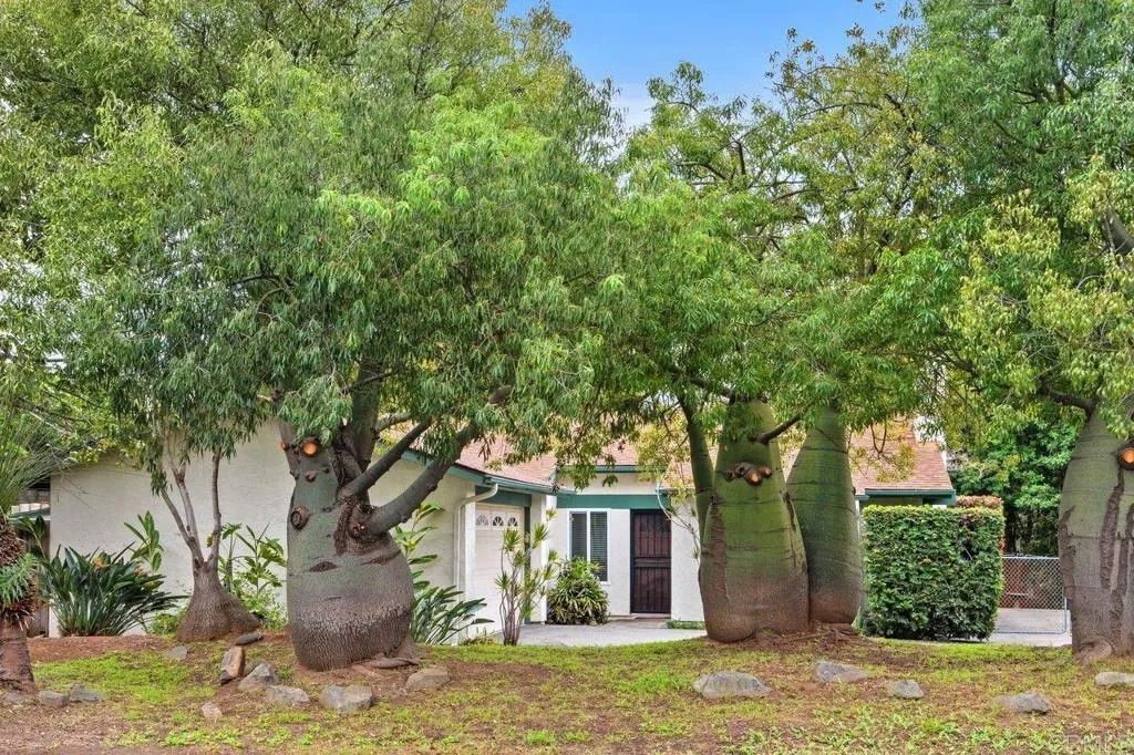 Photo of 1037 Glenmere Road, Vista, CA 92084 (MLS # NDP2602168)