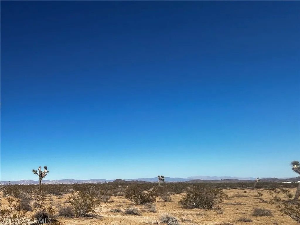 Photo of 0 Celesta, Joshua Tree, CA 92252 (MLS # JT26082077)