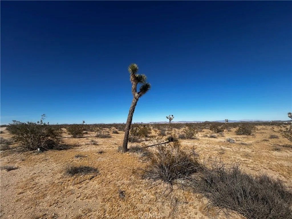 Photo of 0 Celesta, Joshua Tree, CA 92252 (MLS # JT26082077)