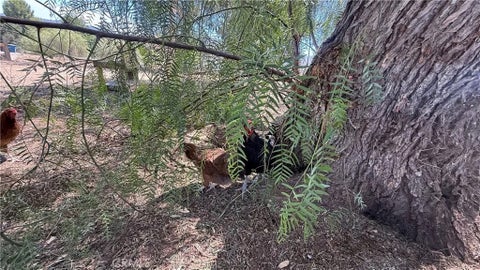 Tiny photo for 21280 Cielo Vista, Wildomar, CA 92595 (MLS # SW26144826)