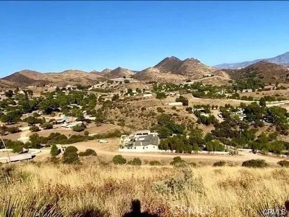 Photo of 32600 Willow Ln, Agua Dulce, CA 91390 (MLS # SR26200612)