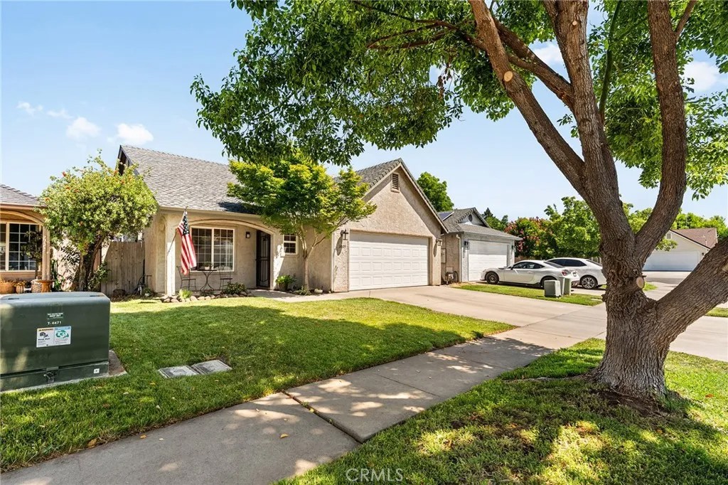 1005 Windsor