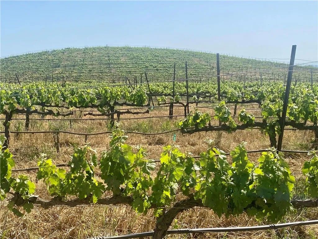 Photo of 39601 Berenda, Temecula, CA 92592 (MLS # IG26084260)