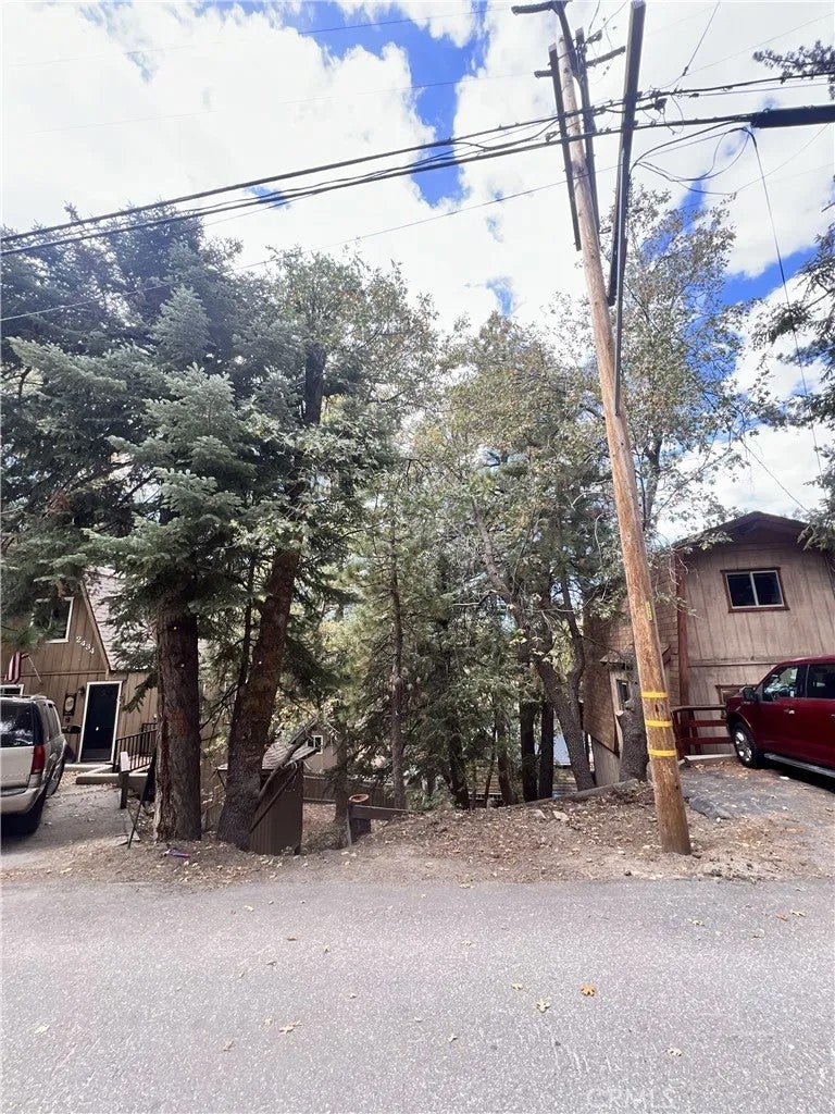 0 Pine