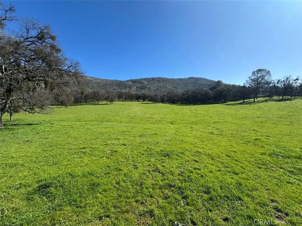 Photo of 471 Hwy 49N, Mariposa, CA 95338 (MLS # MP26032622)