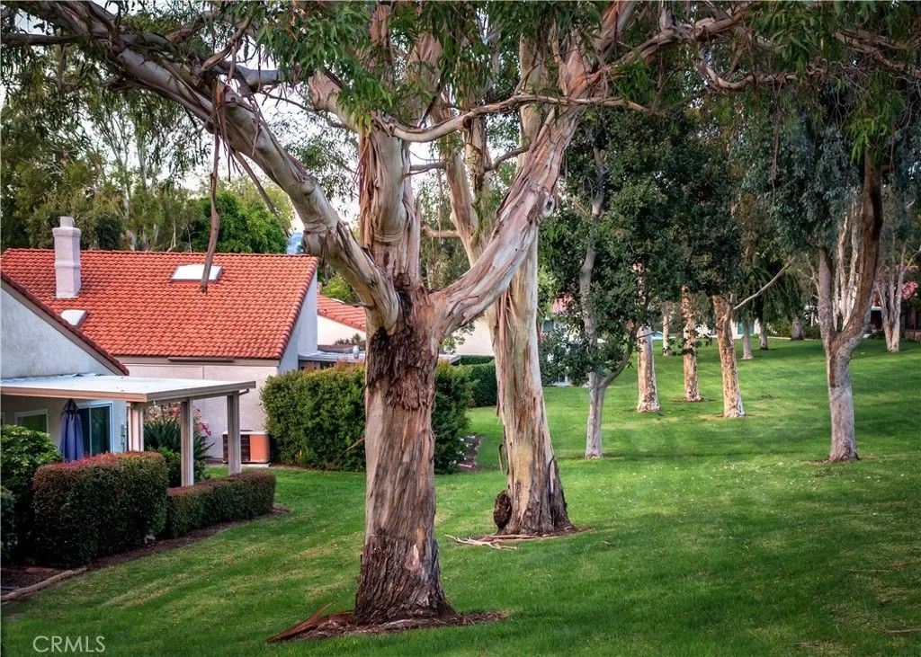 Photo of 3110 Via Serena #D, Laguna Woods, CA 92637 (MLS # OC26028557)