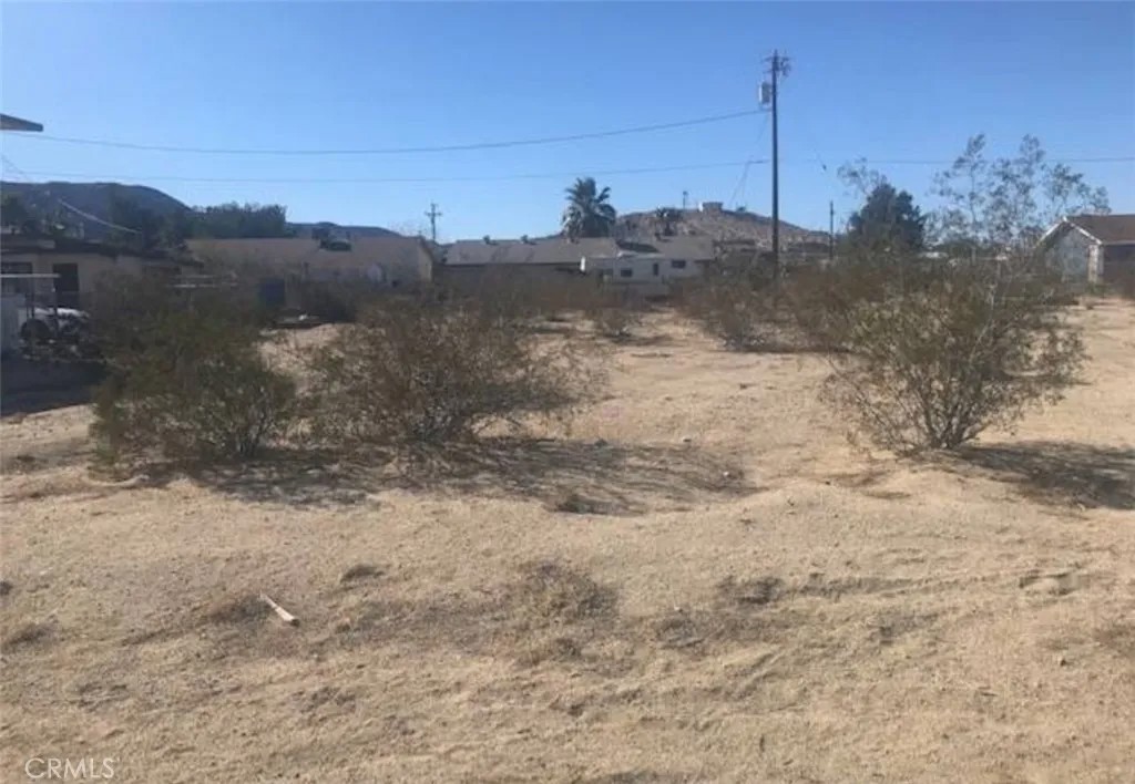 6646 Cholla