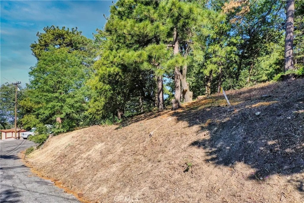 246 Ferndale Dr
