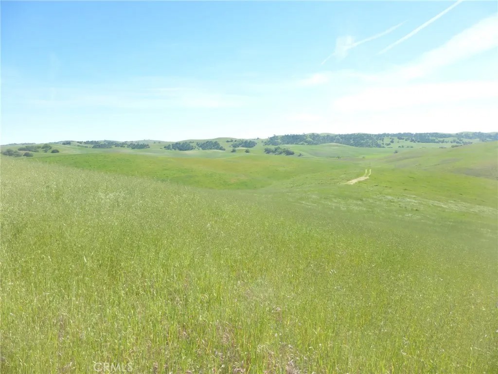 0 Douglas Rd. (Lot 43)