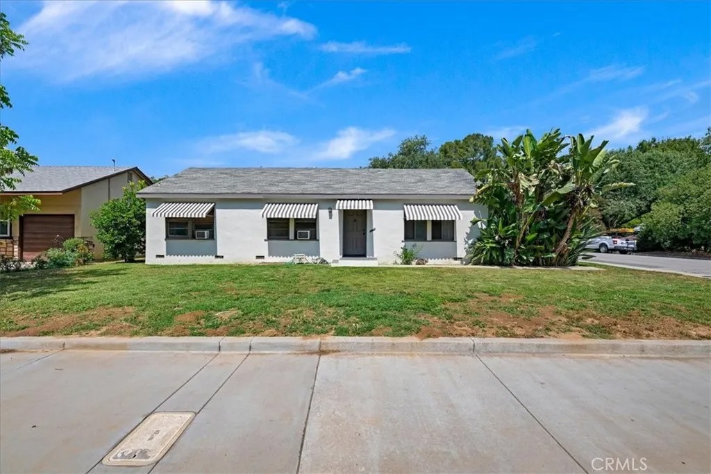 5305 Palm