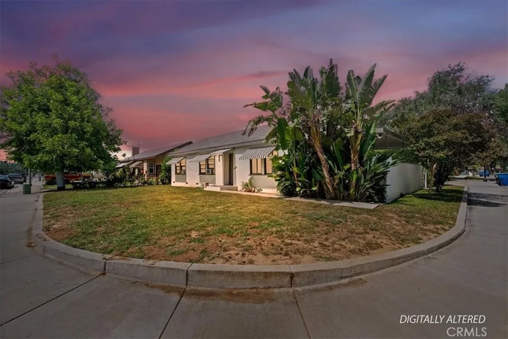 5305 Palm