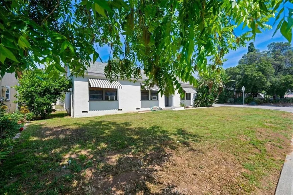 5305 Palm