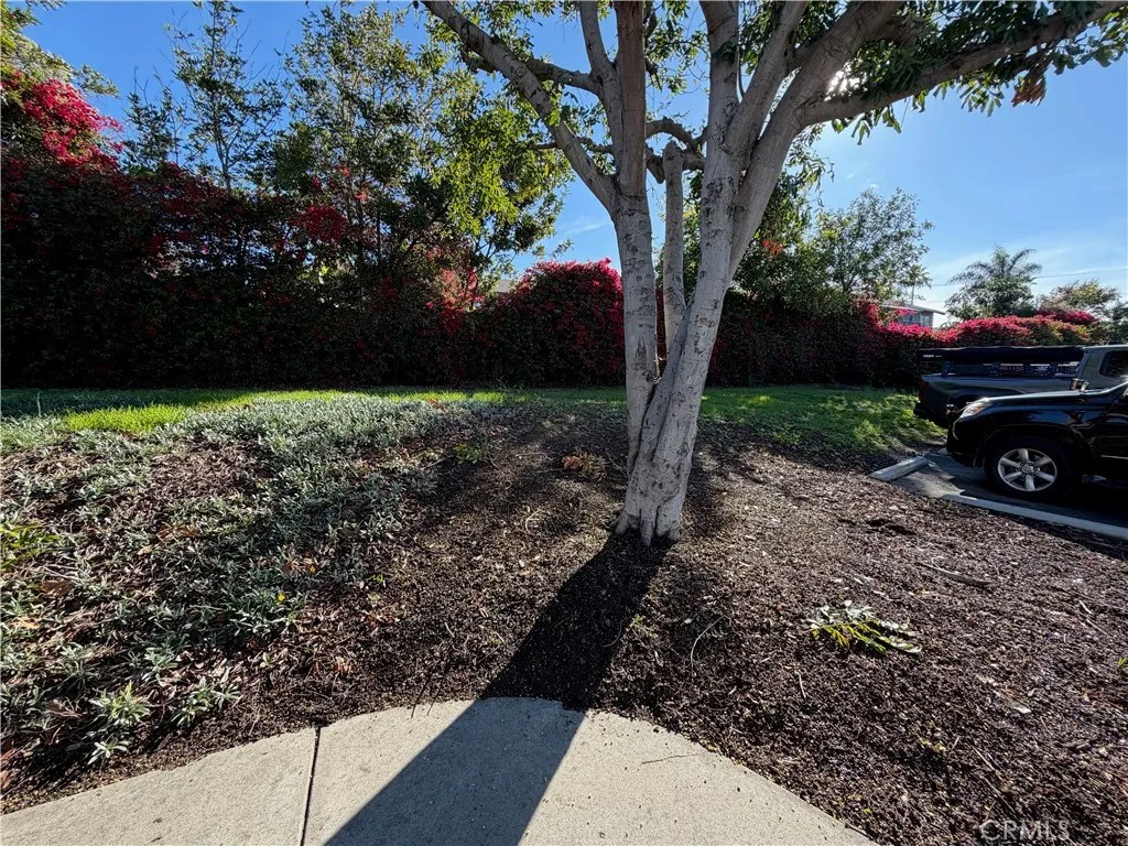 0 Monique Court
