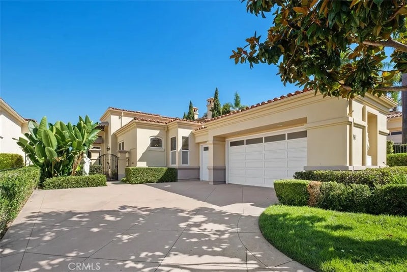 31 Monterey Pine