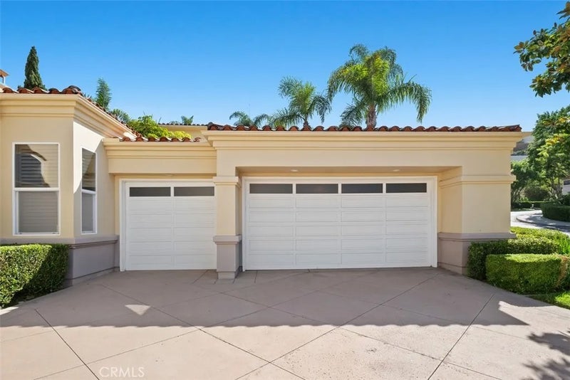 31 Monterey Pine