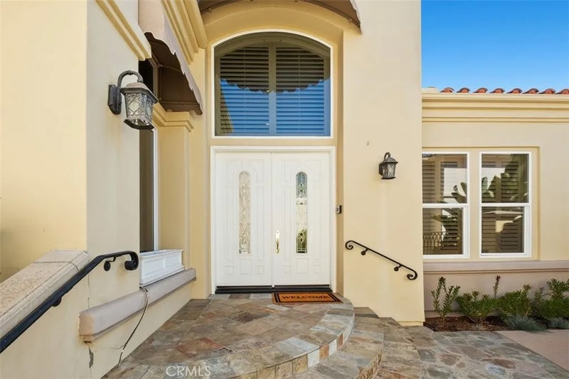 31 Monterey Pine