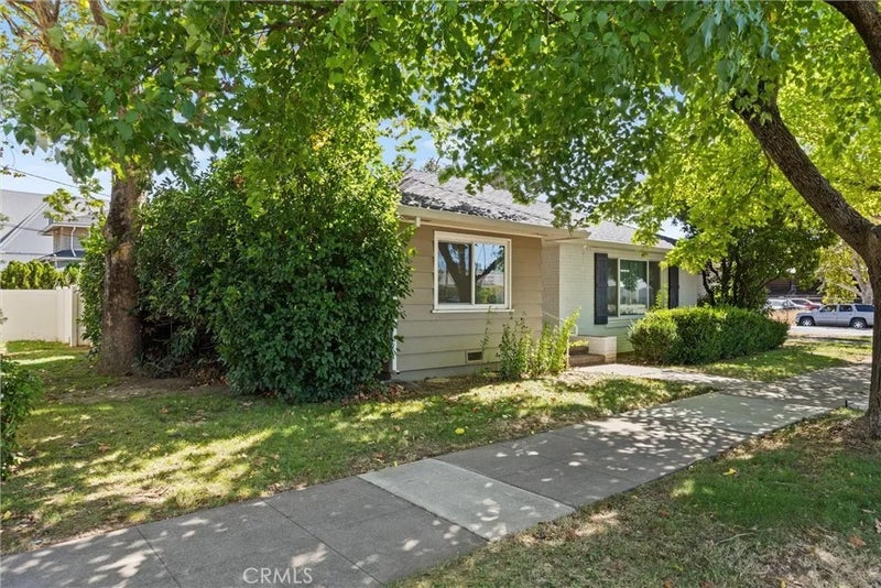 545 Cedar