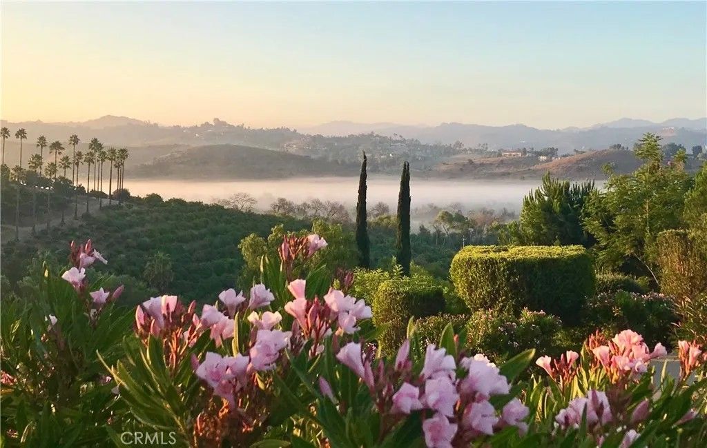 Photo of 4462 Fallsbrae Road, Fallbrook, CA 92028 (MLS # SW25109680)