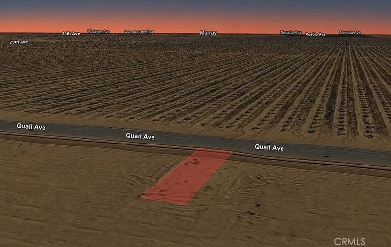 0 Quail