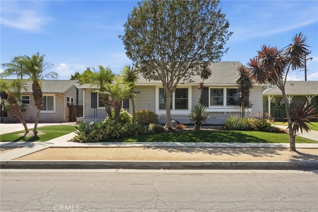 3249 Petaluma