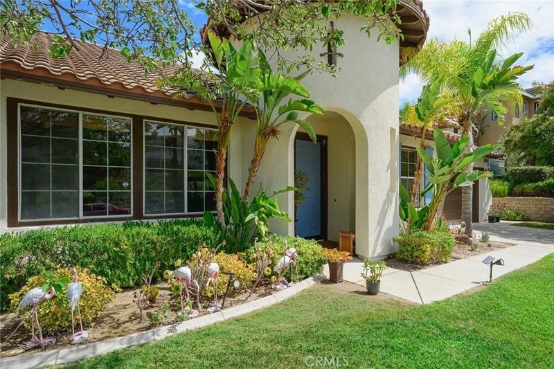 3165 Forest View