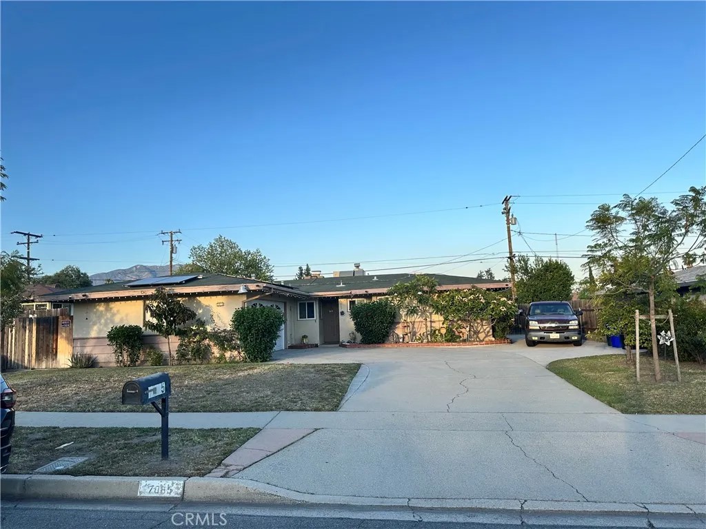 7065 Buchanan