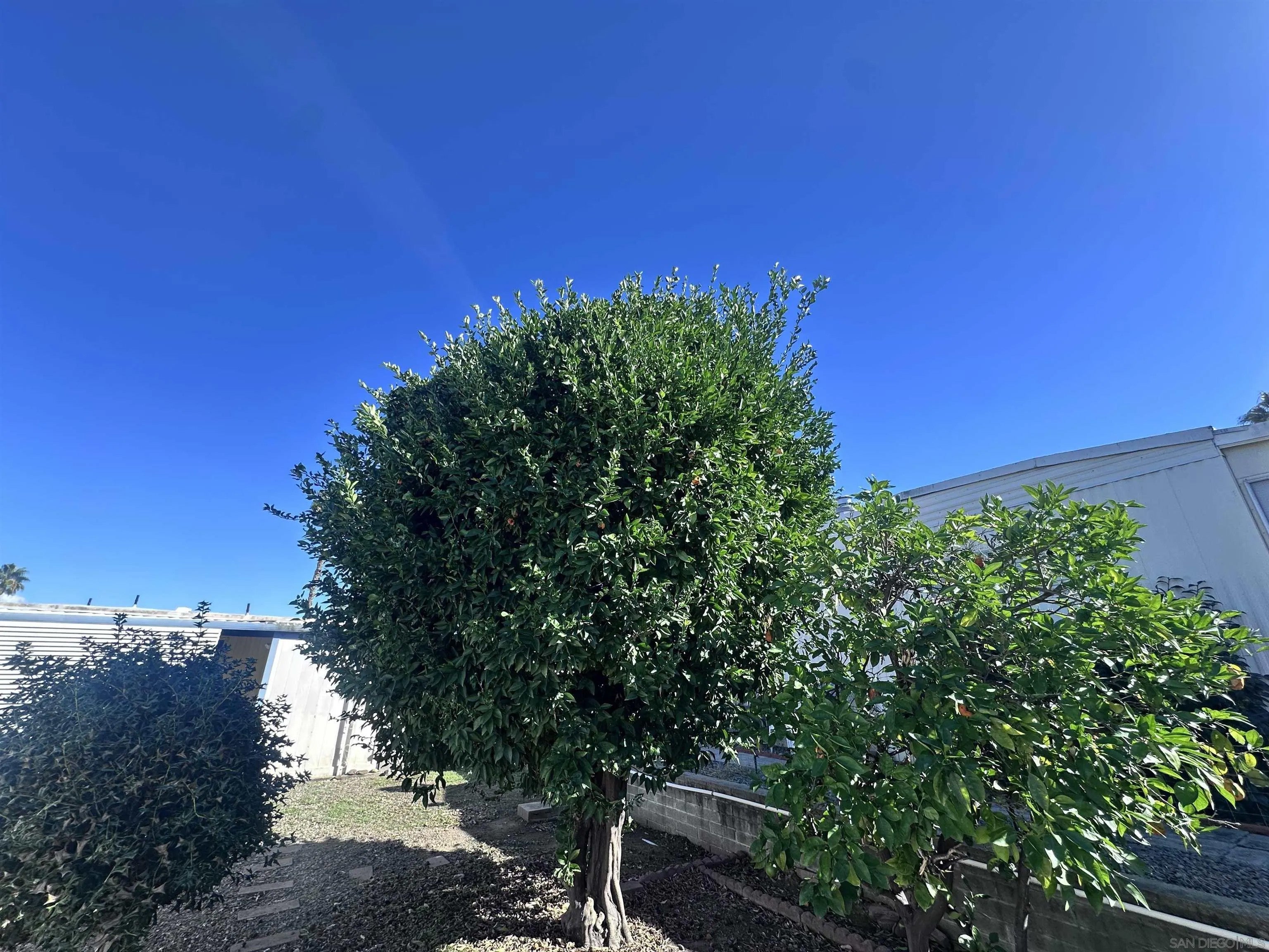 8301 Mission Gorge Rd 50