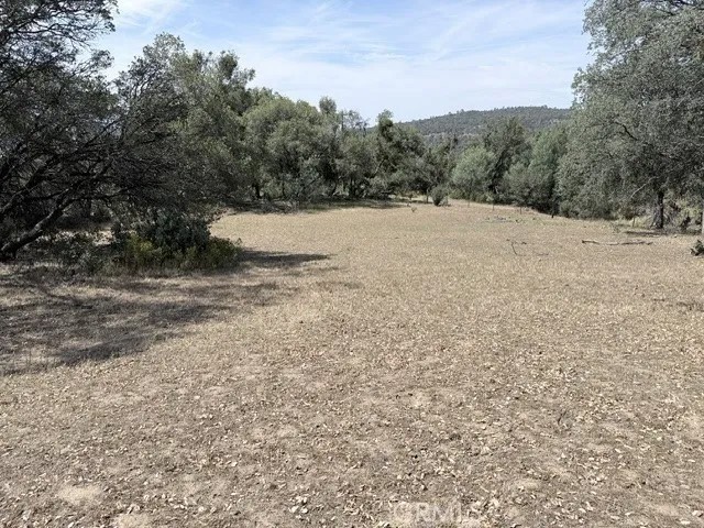58292 Road 225