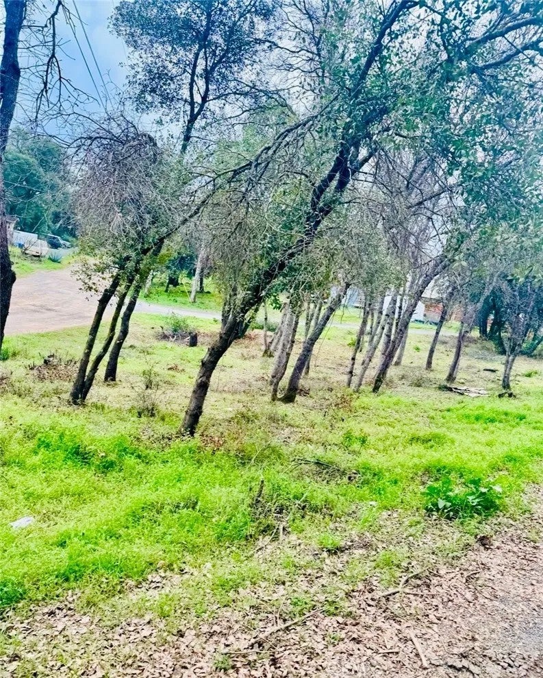 5976 Armijo