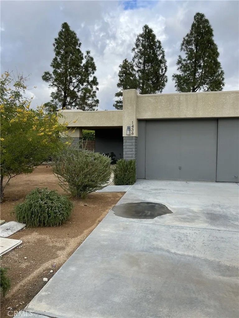 1436 Sunflower South