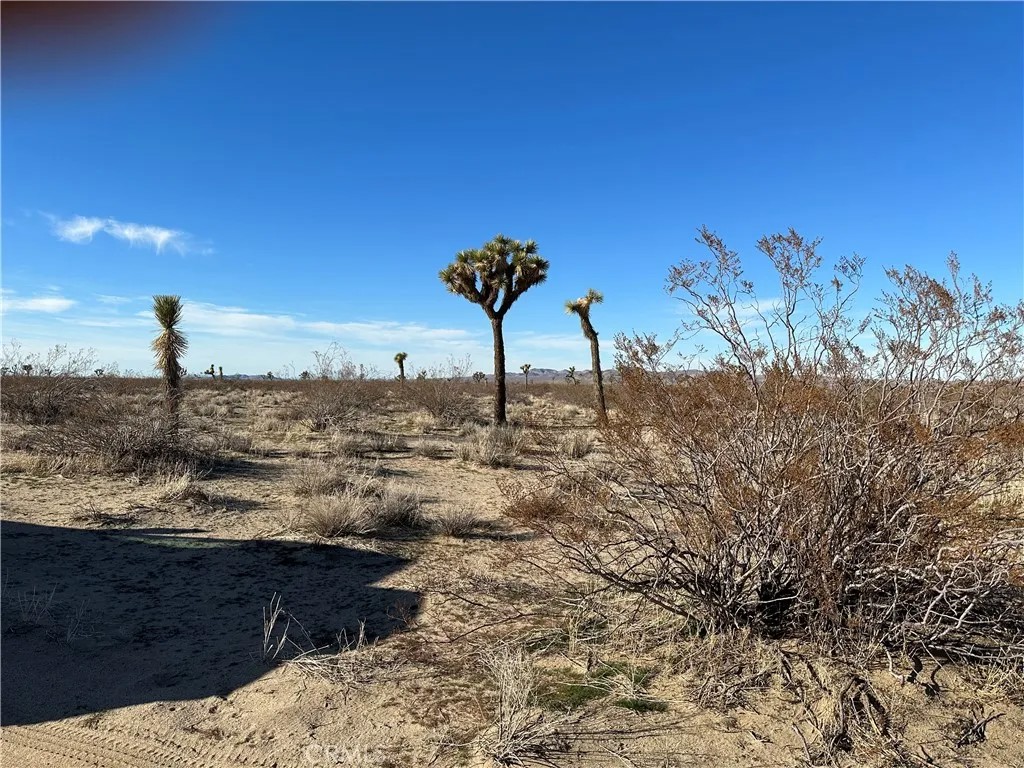 2 Wilson Ranch