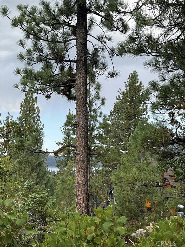 Photo of 833 Great Spirits WAY, Big Bear Lake, CA 92315 (MLS # IG26209389)