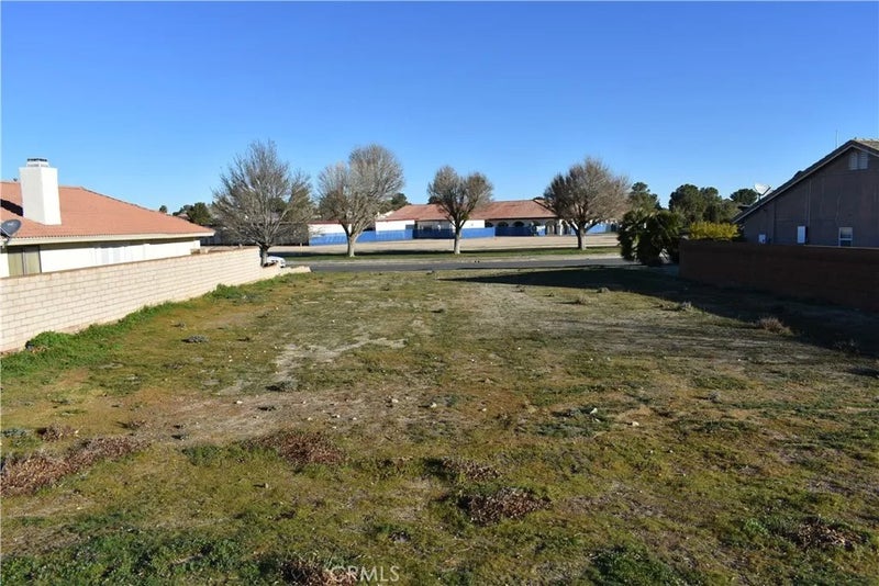 27237 Peach Tree
