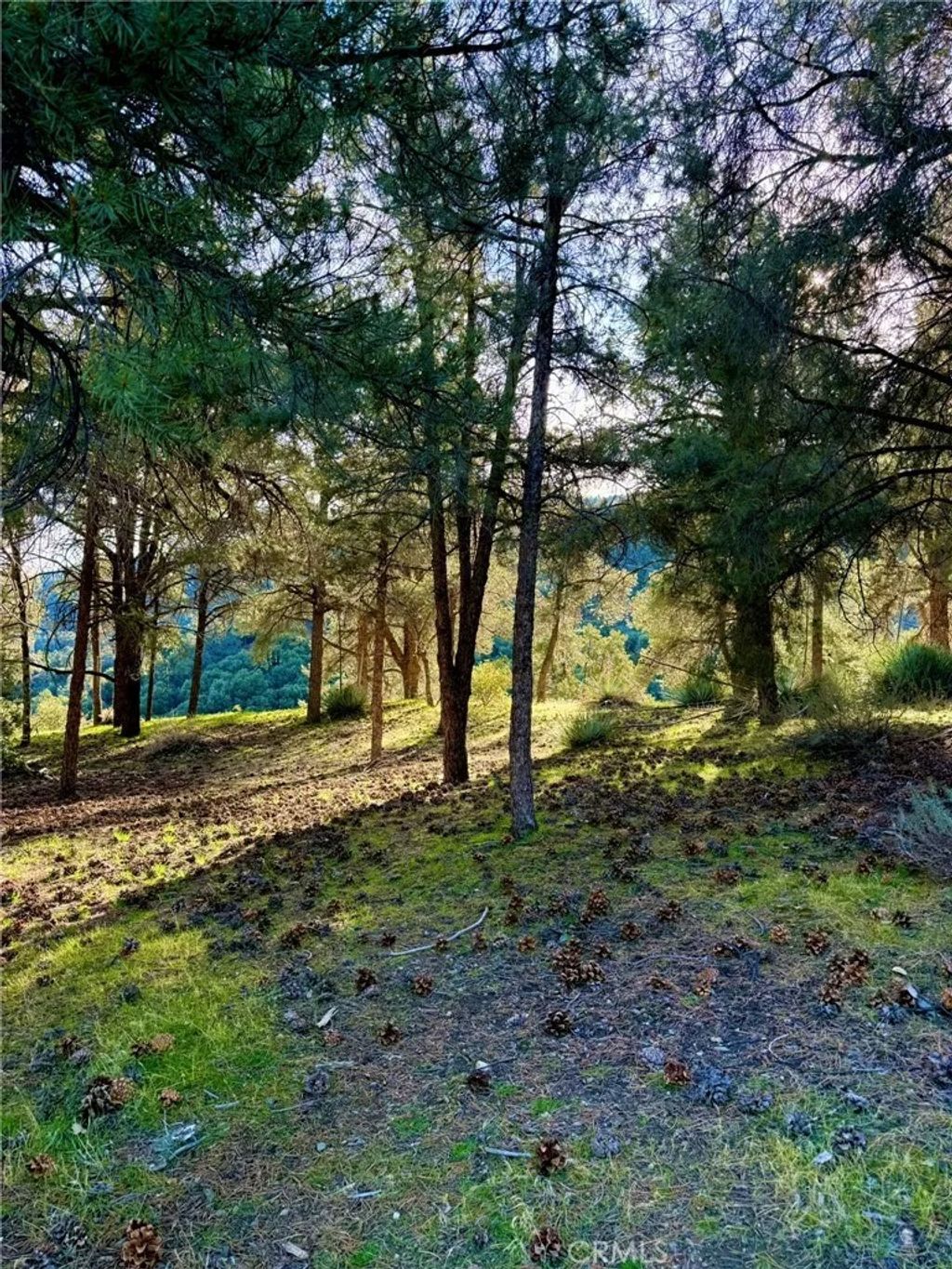 Photo of 2604 Tirol, Pine Mountain Club, CA 93225 (MLS # SR25277954)