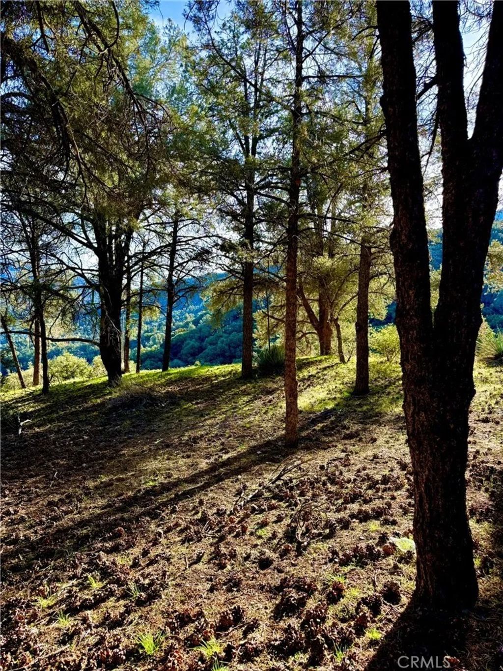 Photo of 2604 Tirol, Pine Mountain Club, CA 93225 (MLS # SR25277954)