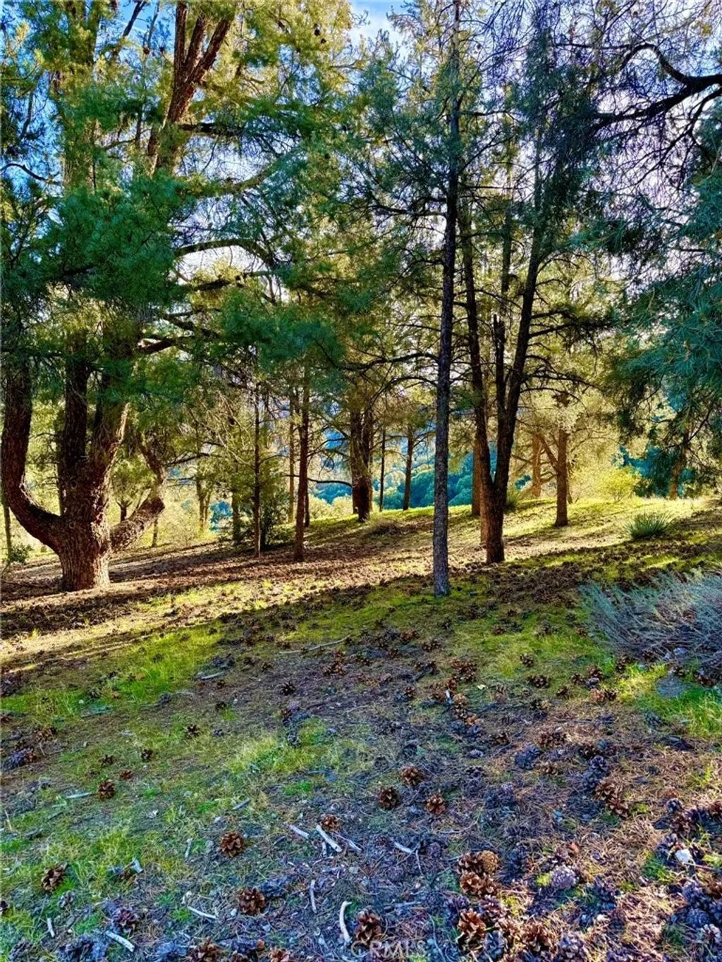Photo of 2604 Tirol, Pine Mountain Club, CA 93225 (MLS # SR25277954)
