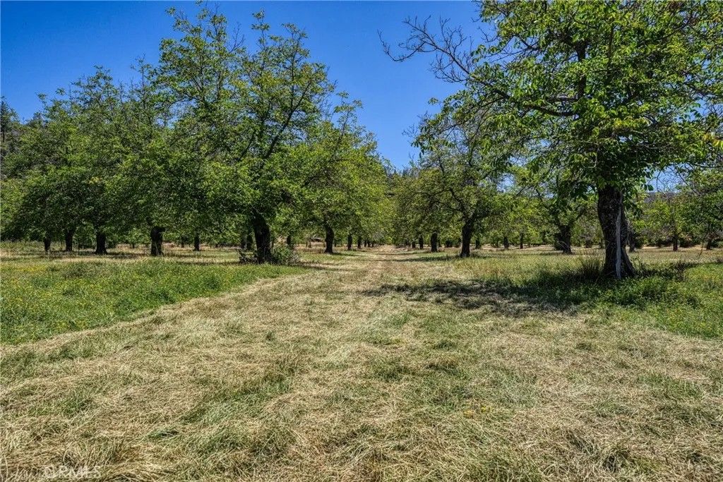 Photo of 1286 Pitney Ln, Upper Lake, CA 95485 (MLS # LC26107761)