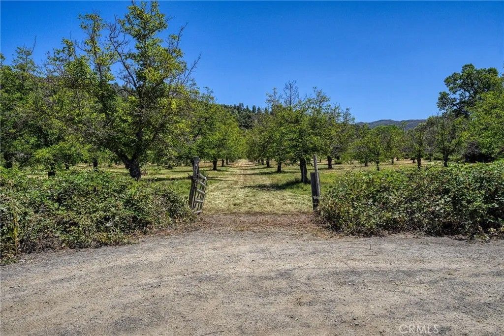 Photo of 1286 Pitney Ln, Upper Lake, CA 95485 (MLS # LC26107761)